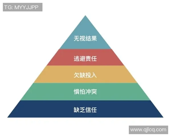 上海排球队的团队协作精神与战术配合探讨